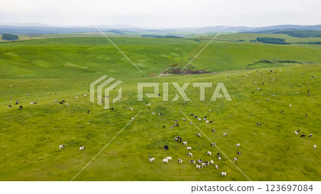 Toyotomi Town Large-Scale Grassland Cultivation Farm 123697084