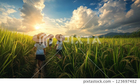 夏天的鄉村風光 123697482