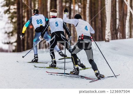 rear view group skiers uphill in cross-country skiing race 123697504