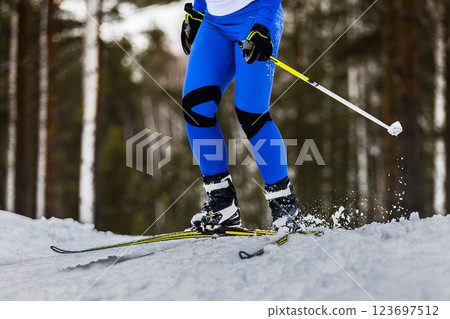 close-up man skier legs in forest background 123697512