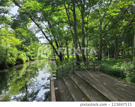 千波川沿岸歷史公園 123697515
