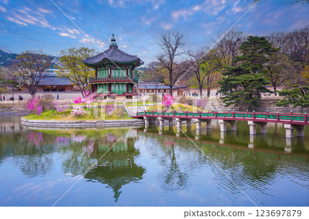 Gyeongbokgung palace with cherry blossom tree in spring time in Seoul, South Korea. 123697879