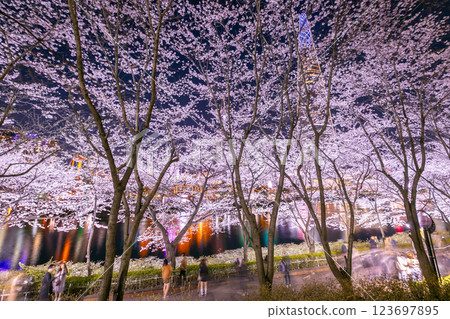 south korea in spring at night and skyscrapers seoul south korea 123697895