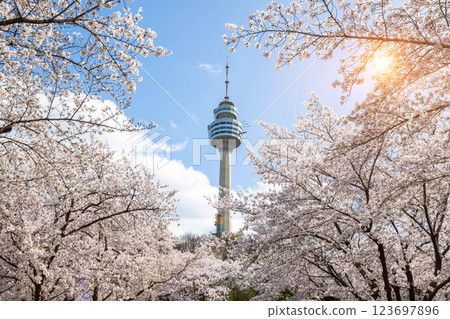 Cherry blossoms blooming in spring at E-World 83 Tower a popular tourist destination. in Daegu,South Korea. 123697896