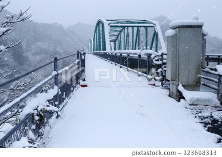 大豐町吉野川橋雪景(高知縣) 大豐町吉野川橋雪景(高知縣) 123698313