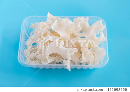 神奇的蘑菇：花瓣蘑菇 123698366