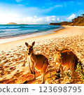 Kangaroos playing on the beach 123698795