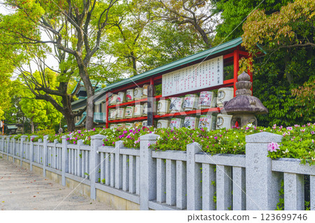 Otori Taisha Shrine Dedicated Sake Barrels and Azalea Flowers Fresh Green Season (Otorikita-cho, Nishi-ku, Sakai-shi, Osaka) 123699746