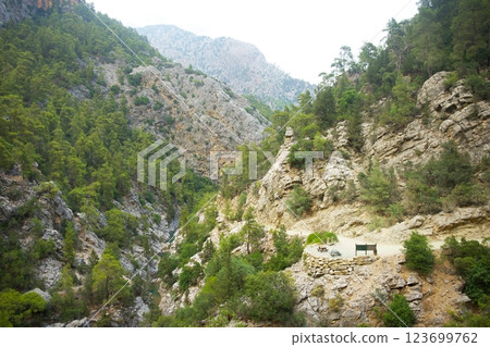 Scenic mountain canyon with rocky cliffs and trees Scenic mountain canyon with rocky cliffs and trees 123699762