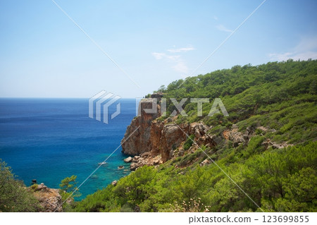 Scenic coastal cliff view with blue sea and green forest landscape on a sunny day Scenic coastal cliff view with blue sea and green forest landscape on a sunny day 123699855