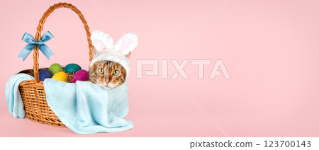 Cat with rabbit ears in basket with easter eggs 123700143
