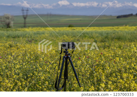 Camera on tripod capturing stunning mountain landscape across a vibrant yellow wildflower field 123700333
