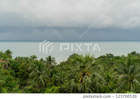 Explore the vibrant jungle of Koh Phangan as it meets the tranquil sea beneath a dramatic sky. 123700530