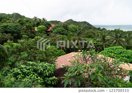 Stunning view showcasing vibrant jungles, palm trees, and a tranquil sea in Koh Phangan. Stunning view showcasing vibrant jungles, palm trees, and a tranquil sea in Koh Phangan. 123700533