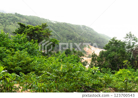 Vibrant jungle foliage meets a winding road, showcasing the natural beauty of Koh Phangan, Thailand. Vibrant jungle foliage meets a winding road, showcasing the natural beauty of Koh Phangan, Thailand. 123700543