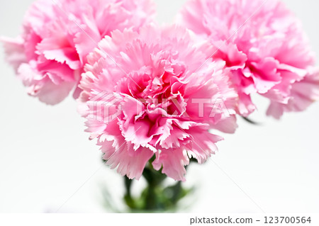 mother's day image mother's day image 123700564