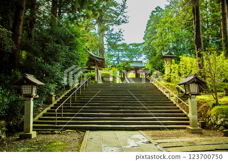 The stone steps leading to the Zuishinmon Gate of Shiogama Shrine, an important cultural property of Oshu Ichinomiya The stone steps leading to the Zuishinmon Gate of Shiogama Shrine, an important cultural property of Oshu Ichinomiya 123700750