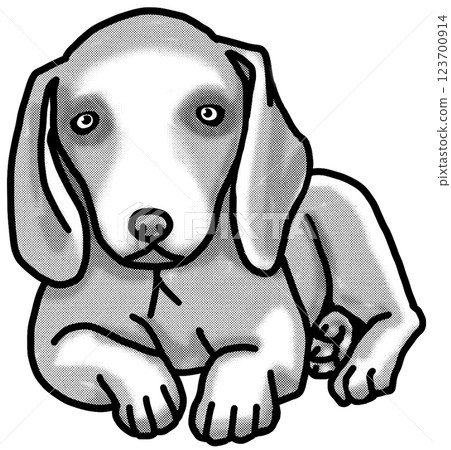 魏瑪犬小狗黑白透明背景狗狗插圖 魏瑪犬小狗黑白透明背景狗狗插圖 123700914