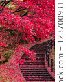 Autumn leaves slope 123700931