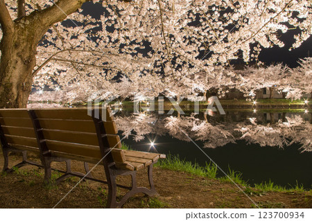 櫻花襯板凳 123700934