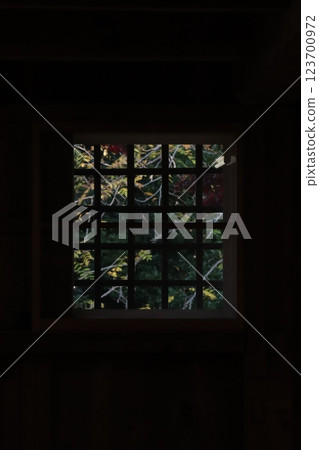 (Kanazawa Castle) 006 123700972