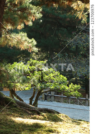 （兼六園）006 123700976