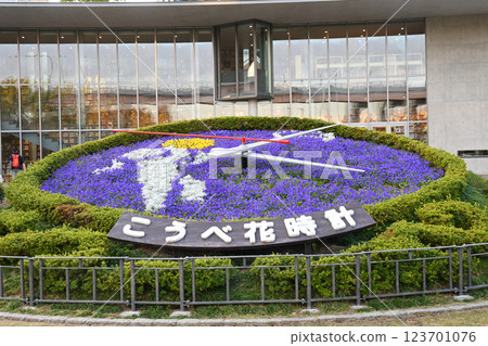 神戶市中央區東永圓寺的神戶花鐘 神戶市中央區東永圓寺的神戶花鐘 123701076