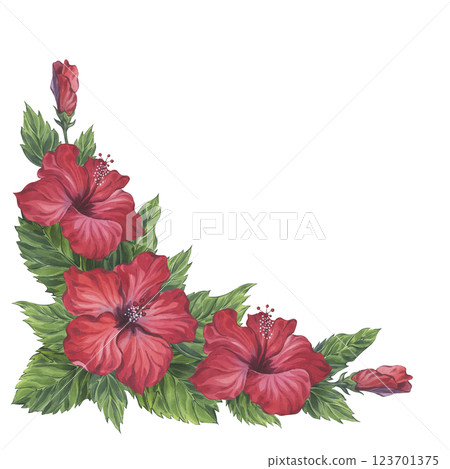 Composition with red hibiscus flowers, buds, and lush green leaves. Hand-painted watercolor botanical illustration. Ideal for greeting cards, tropical-themed designs, and fabric prints Composition with red hibiscus flowers, buds, and lush green leaves. Hand-painted watercolor botanical illustration. Ideal for greeting cards, tropical-themed designs, and fabric prints 123701375