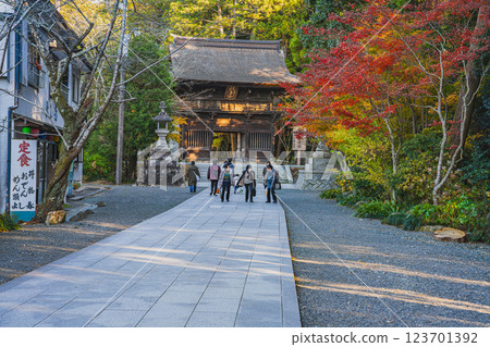 The approach to Hodasan Son'eiji Temple in Fukuroi City and autumn leaves (Shizuoka Prefecture) 123701392