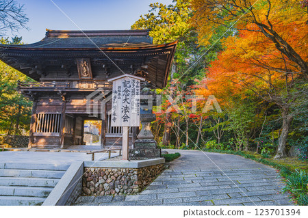 The approach to Hodasan Son'eiji Temple in Fukuroi City and autumn leaves (Shizuoka Prefecture) 123701394