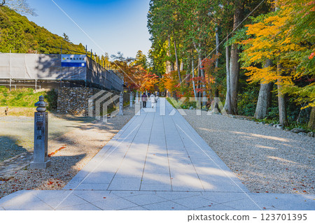 The approach to Hodasan Son'eiji Temple in Fukuroi City and autumn leaves (Shizuoka Prefecture) 123701395