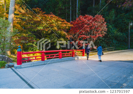 袋井市寶田山尊永寺的參道與紅葉(靜岡縣) 袋井市寶田山尊永寺的參道與紅葉(靜岡縣) 123701597