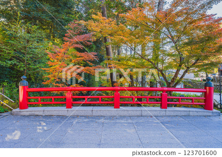 袋井市寶田山尊永寺的參道與紅葉(靜岡縣) 袋井市寶田山尊永寺的參道與紅葉(靜岡縣) 123701600