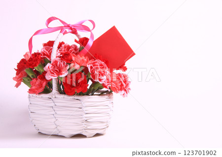 Mother's Day 24 Carnation arrangement and message card Mother's Day 24 Carnation arrangement and message card 123701902