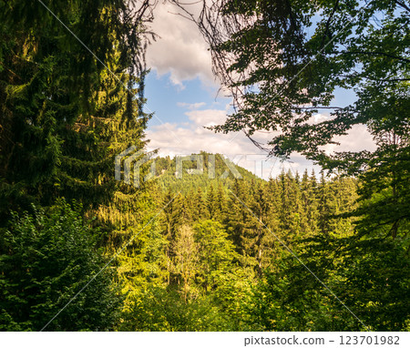 Majestic sandstone cliffs surrounded by lush greenery and forests for tourism, ecotourism Majestic sandstone cliffs surrounded by lush greenery and forests for tourism, ecotourism 123701982