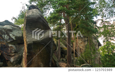 Majestic sandstone cliffs surrounded by lush greenery and forests for tourism, ecotourism 123701989