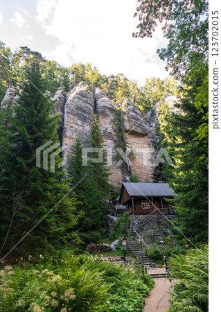 Scenic forest path surrounded by lush greenery, sunlight filtering through trees, perfect for hiking 123702015