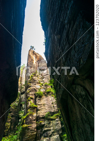 Majestic sandstone cliffs surrounded by lush greenery and forests for tourism, ecotourism 123702020