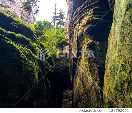 A moss-covered sandstone canyon with towering cliffs, lush greenery, and scattered sunlight 123702061