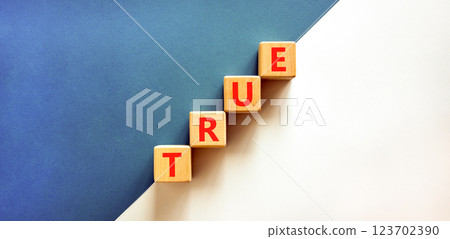 True symbol. Concept word True on beautiful wooden blocks. Beautiful white and blue background. Business, lifestyle, support and true concept. Copy space. 123702390