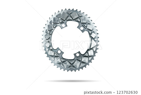 Silver oval bicycle chainring against white isolated background, floating above the surface. Professional bicycle part. 123702630