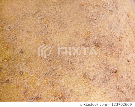 Potato macro photo as background. Food photo, potato texture. 123702669