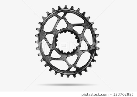 Black oval bicycle chainring against white isolated background, floating above the surface. Professional bicycle part. Black oval bicycle chainring against white isolated background, floating above the surface. Professional bicycle part. 123702985
