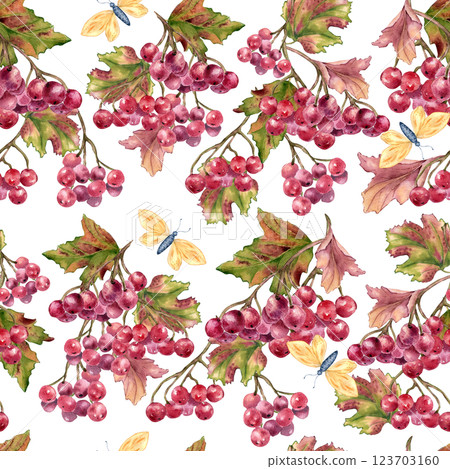 Snowball tree berry, butterflies seamless pattern in vibrant watercolor isolated. Hand drawn viburnum berries on branches for cozy autumn repeat background, textile, tablecloths, kitchen decor. Snowball tree berry, butterflies seamless pattern in vibrant watercolor isolated. Hand drawn viburnum berries on branches for cozy autumn repeat background, textile, tablecloths, kitchen decor. 123703160