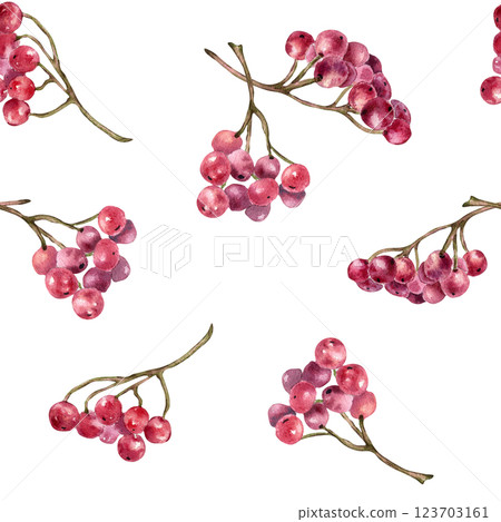 Botanical seamless pattern with guelder rose berries clusters and delicate twigs isolated white. Red berries watercolor on repeated texture for cottagecore textile, stationery, wrapping paper. Botanical seamless pattern with guelder rose berries clusters and delicate twigs isolated white. Red berries watercolor on repeated texture for cottagecore textile, stationery, wrapping paper. 123703161