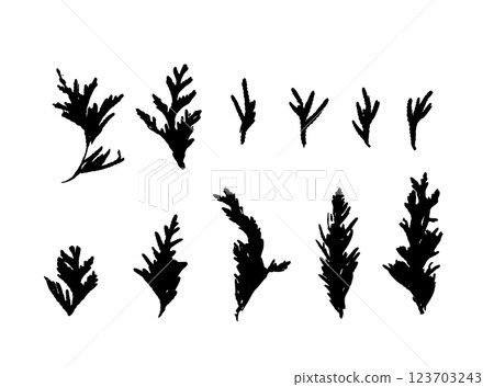 Cypress Twigs Icon, Cupressus Leaf Symbol, Arborvitae Twig, Thuya Sprig Silhouette, Thuja Leaves Cypress Twigs Icon, Cupressus Leaf Symbol, Arborvitae Twig, Thuya Sprig Silhouette, Thuja Leaves 123703243