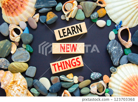 Learn new things symbol. Concept words Learn new things on beautiful wooden blocks. Beautiful black background. Sea shells and sea stones. Business motivational learn new things concept. Copy space Learn new things symbol. Concept words Learn new things on beautiful wooden blocks. Beautiful black background. Sea shells and sea stones. Business motivational learn new things concept. Copy space 123703368