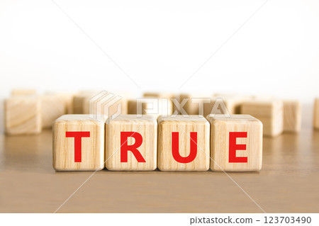 True symbol. Concept word True on beautiful wooden blocks. Beautiful wooden table white background. Business, lifestyle, support and true concept. Copy space. 123703490
