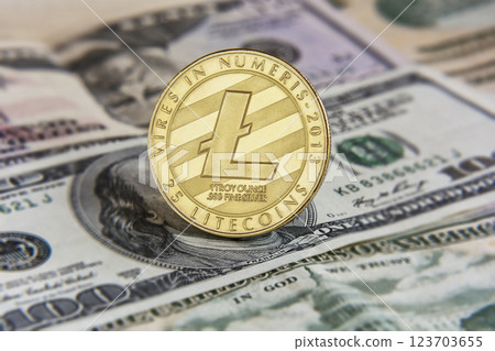 Gold coin LITECOIN on banknotes, blurred background Gold coin LITECOIN on banknotes, blurred background 123703655
