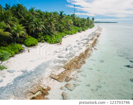 Maldive island and ocean with beach and coconut palm trees Maldive island and ocean with beach and coconut palm trees 123703796